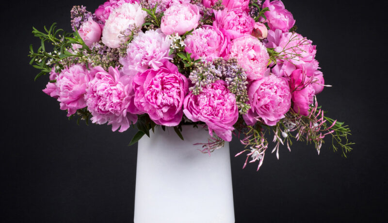 ## Your Premier Florist Upper West Side NYC for Peonies Searching for a trusted florist in the Upper West Side (UWS) area of New York City? Blooming Couture Flowers proudly presents the Peony Jamboree #108. This is a luxurious design featuring vibrant pink peonies and a delicate touch of natural greenery. We are a dedicated Upper West Side NYC florist. We craft every arrangement with the freshest blooms. This makes us the ideal choice for quality floral gifts in the UWS. ### Same-Day Delivery and Quality Promise Our experts hand-arrange all bouquets. We deliver them swiftly with same-day delivery options across the Upper West Side and throughout NYC. Note: Seasonal availability may require flower substitutions to guarantee the highest quality. We always maintain the intended color palette and style. The photograph shows the LARGE SIZE. Fresh seasonal blooms are presented in a clear glass vase.